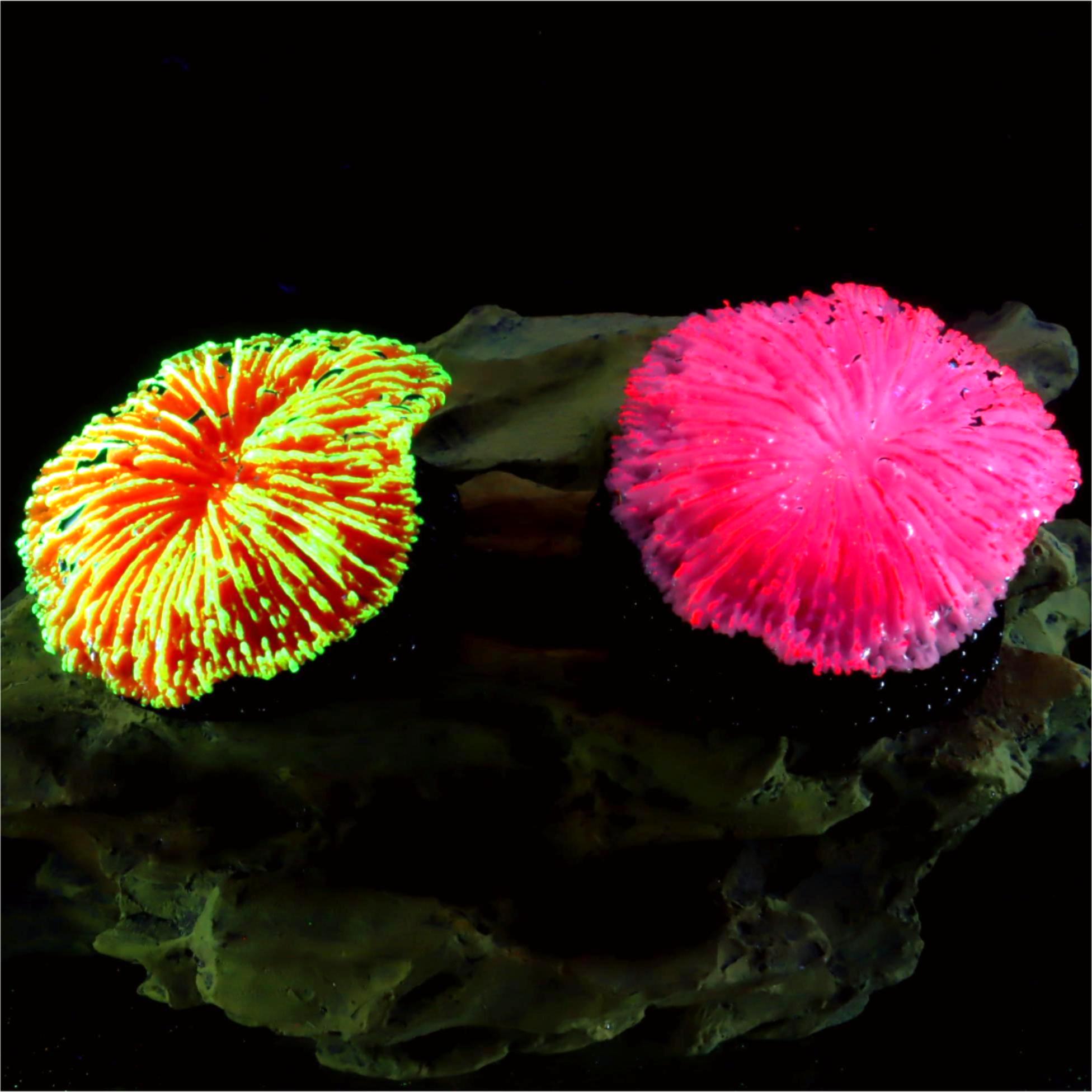 Aquarium Planet - 1 Piece Aquarium Decoration Saw Coral,