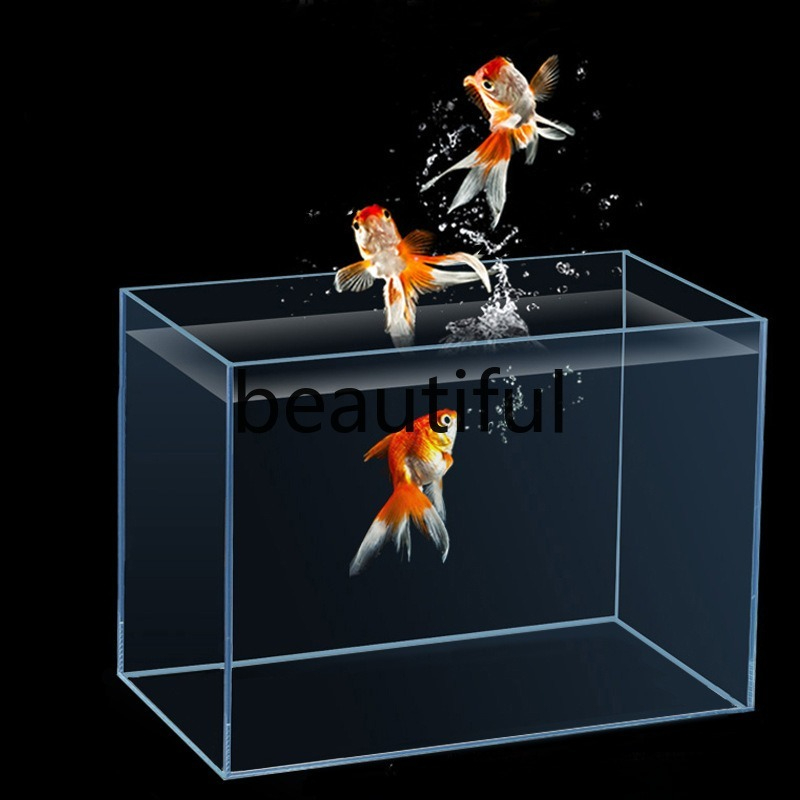 Jinjing ultra-white glass fish - đánh giá và giá Planted Aquarium For Goldfish