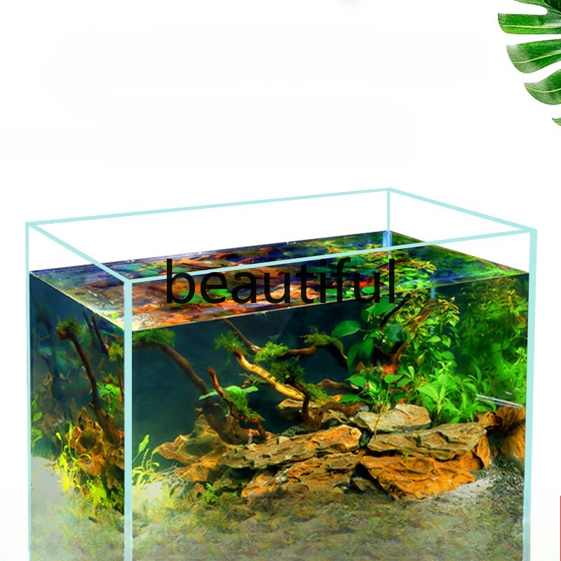 Jinjing ultra-white glass fish - đánh giá và giá Planted Aquarium For Goldfish