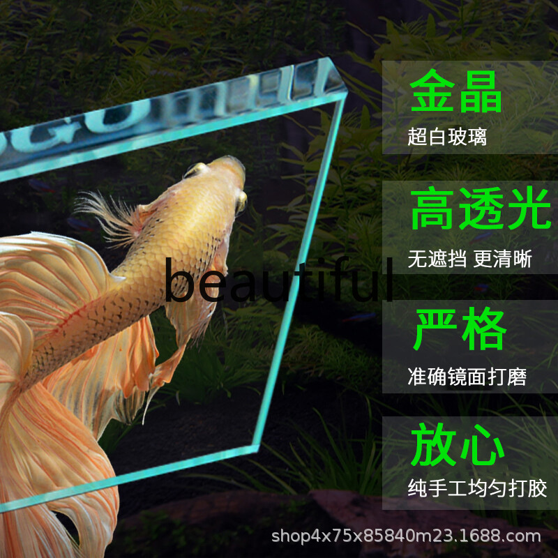 Jinjing ultra-white glass fish - đánh giá và giá Planted Aquarium For Goldfish