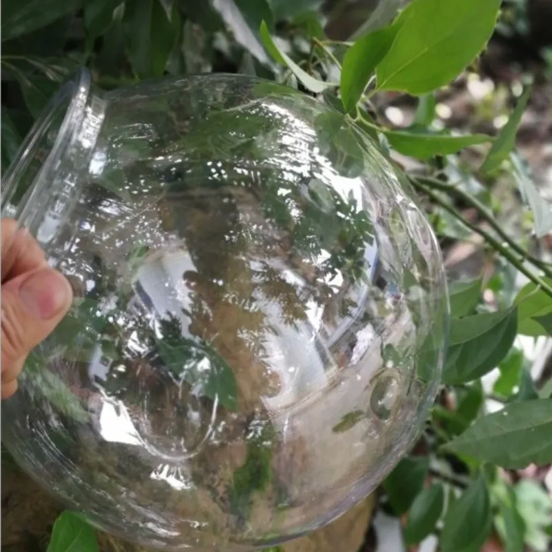Cá Vàng Bát Để Bàn Trong Suốt  - đánh giá và giá Planted Aquarium For Goldfish