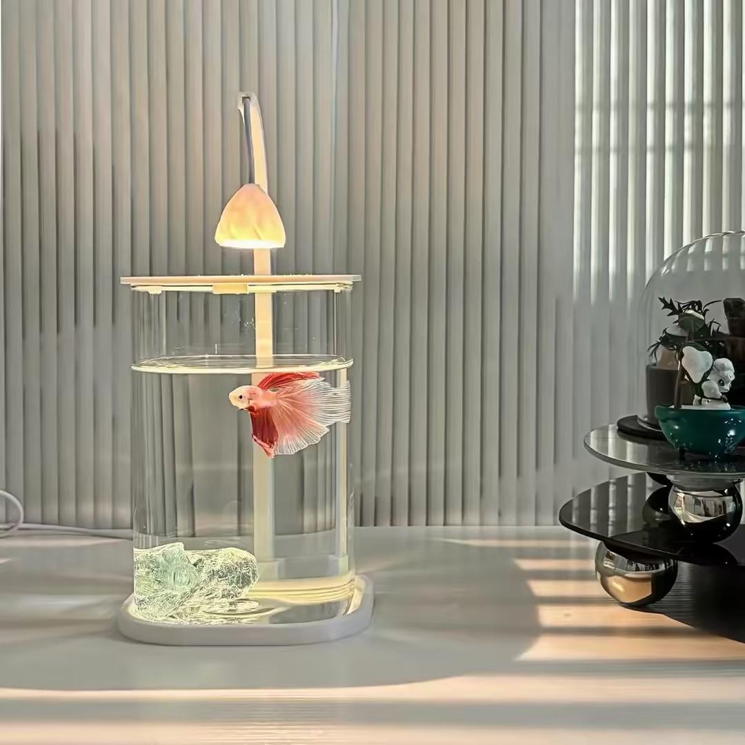 360° Panoramic Clear Desktop F - đánh giá và giá Planted Aquarium For Goldfish