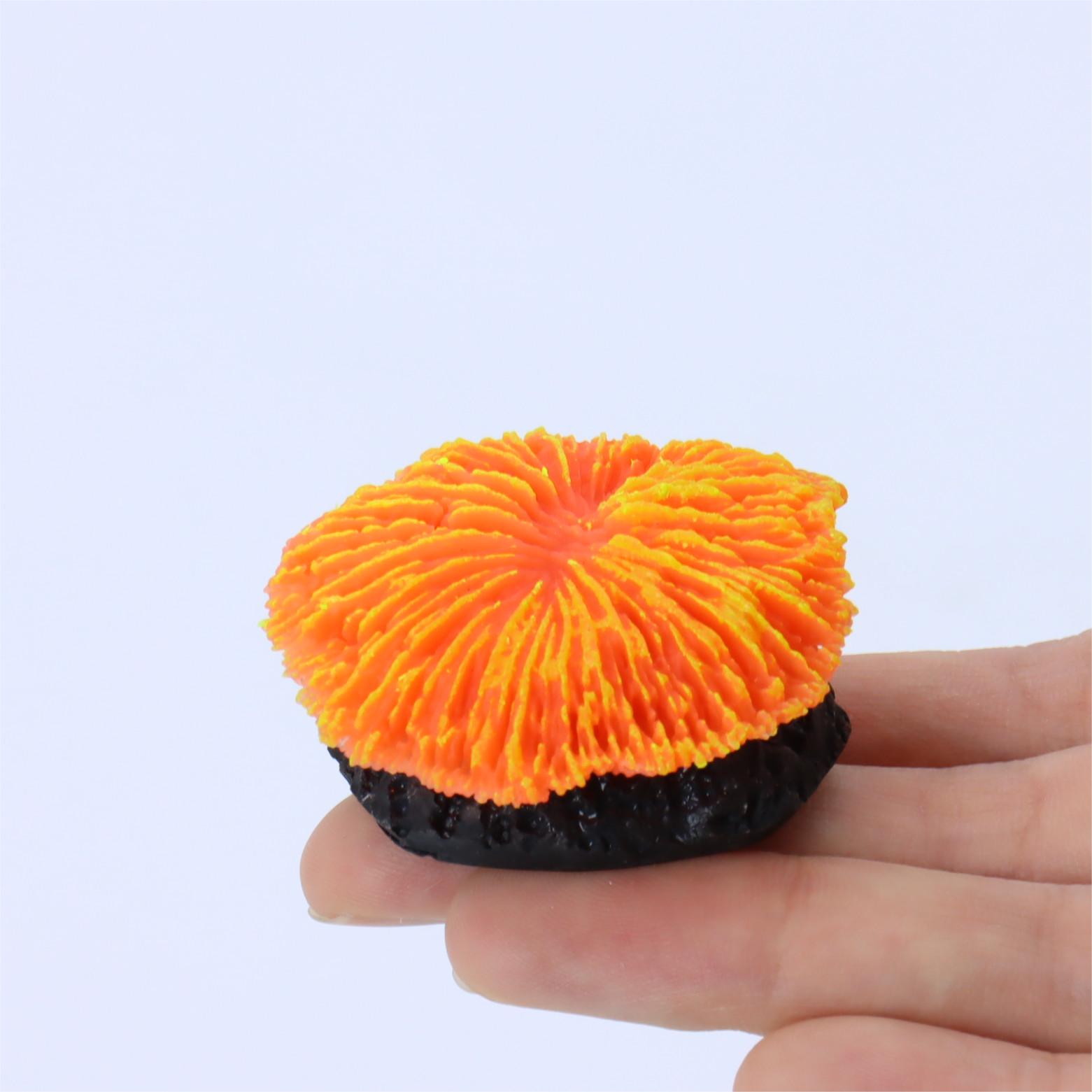1 Piece Aquarium Decoration Sa - đánh giá và giá Aquarium Planet