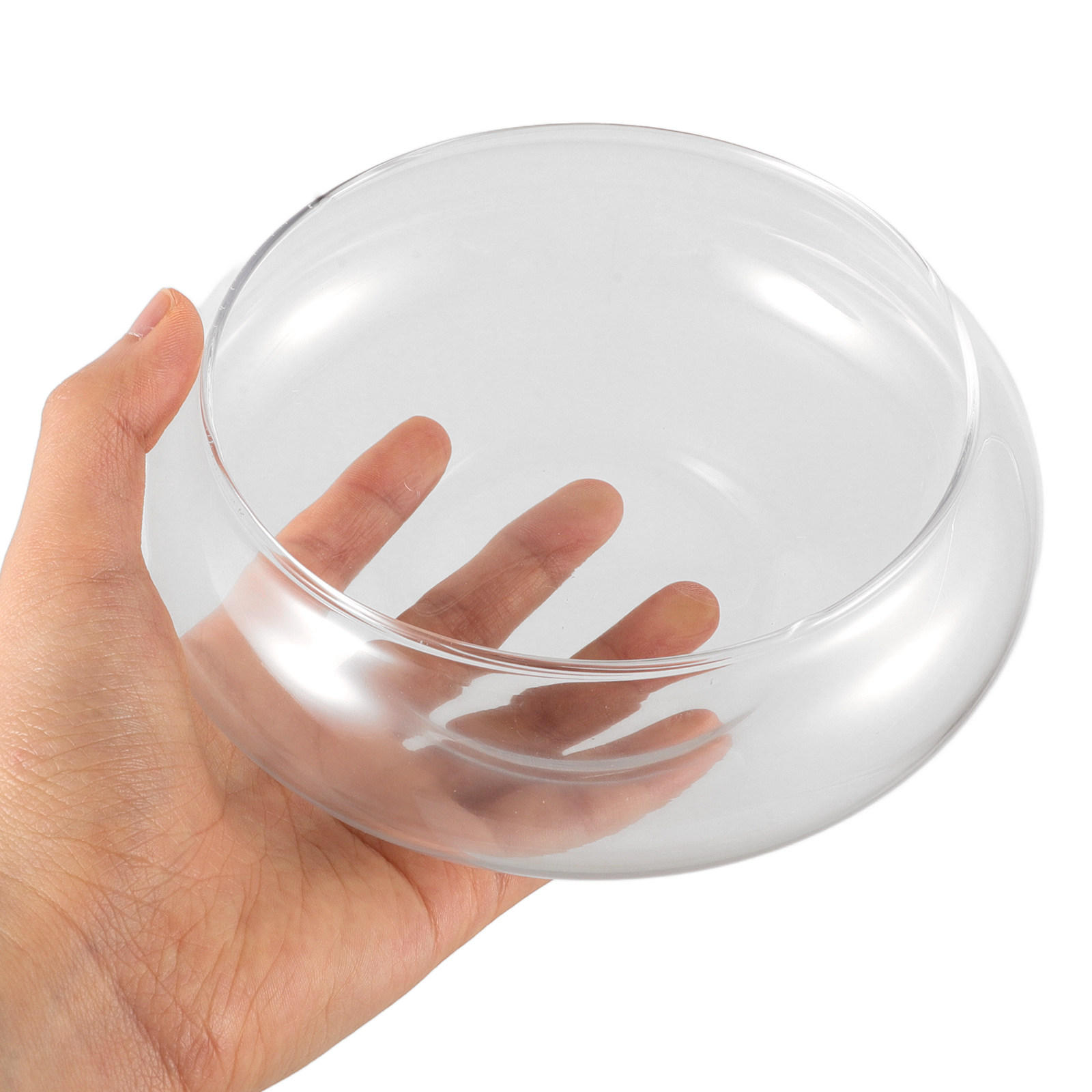 Clear Glass Fish Bowl Round De - đánh giá và giá Planted Aquarium For Goldfish