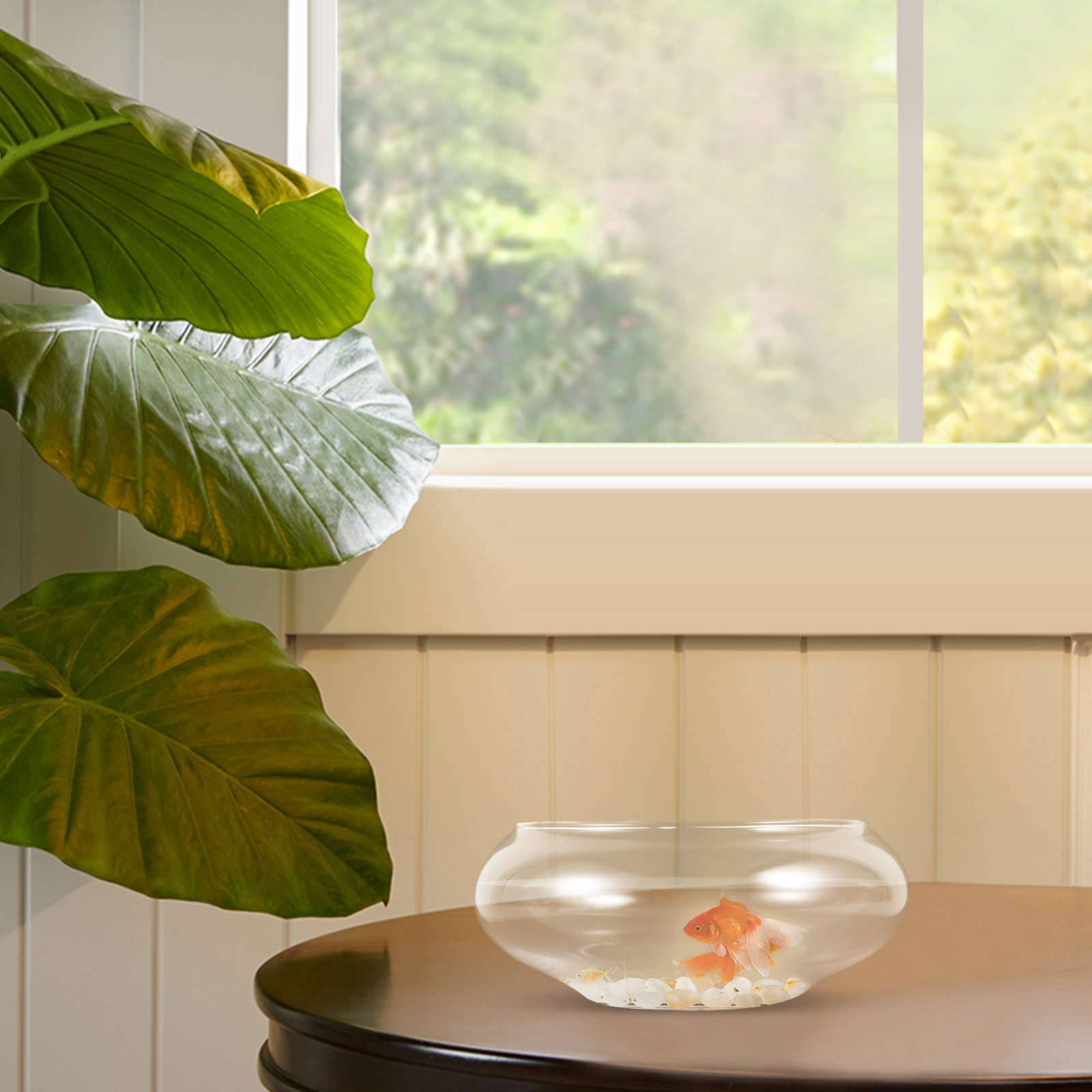 Clear Glass Fish Bowl Round De - đánh giá và giá Planted Aquarium For Goldfish