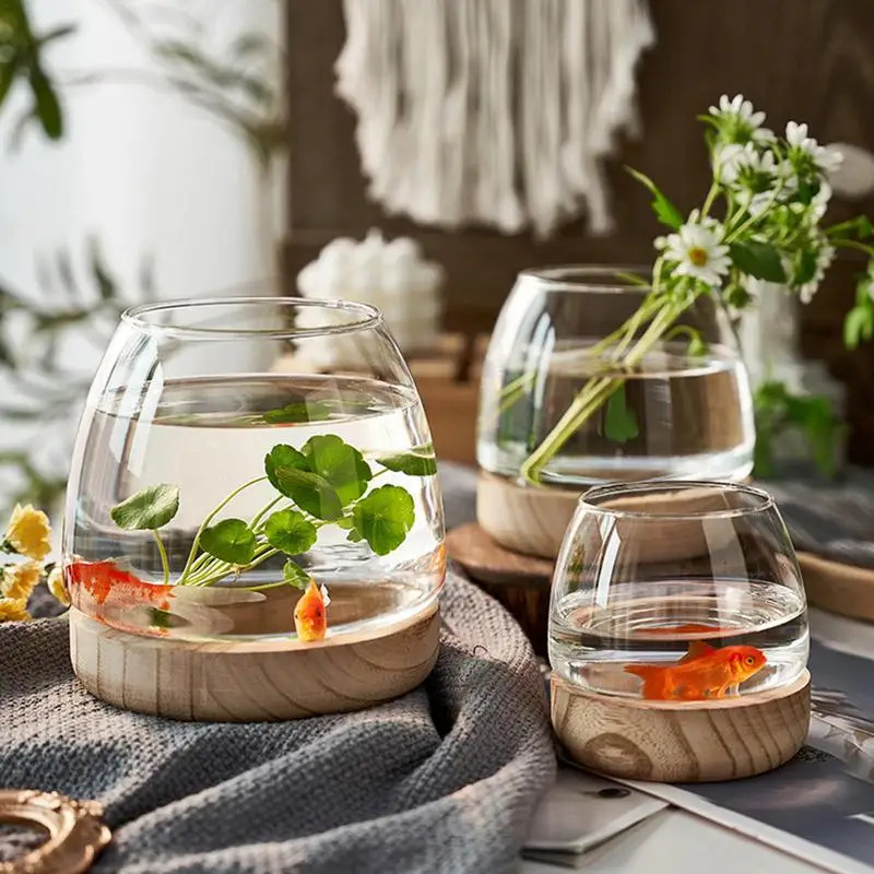 Decorative Round Glass Fish Ta - đánh giá và giá Planted Aquarium For Goldfish