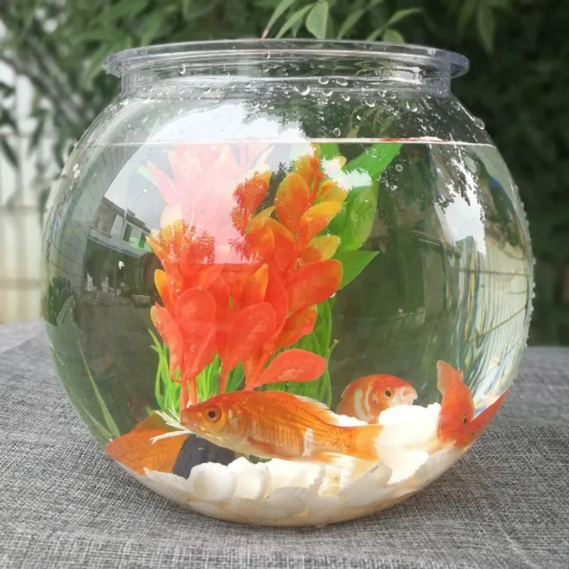 Goldfish bowl desktop transpar - đánh giá và giá Planted Aquarium For Goldfish