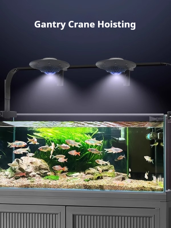 UFO Fish Aquarium Light, Full- - đánh giá và giá Planted Aquarium For Goldfish