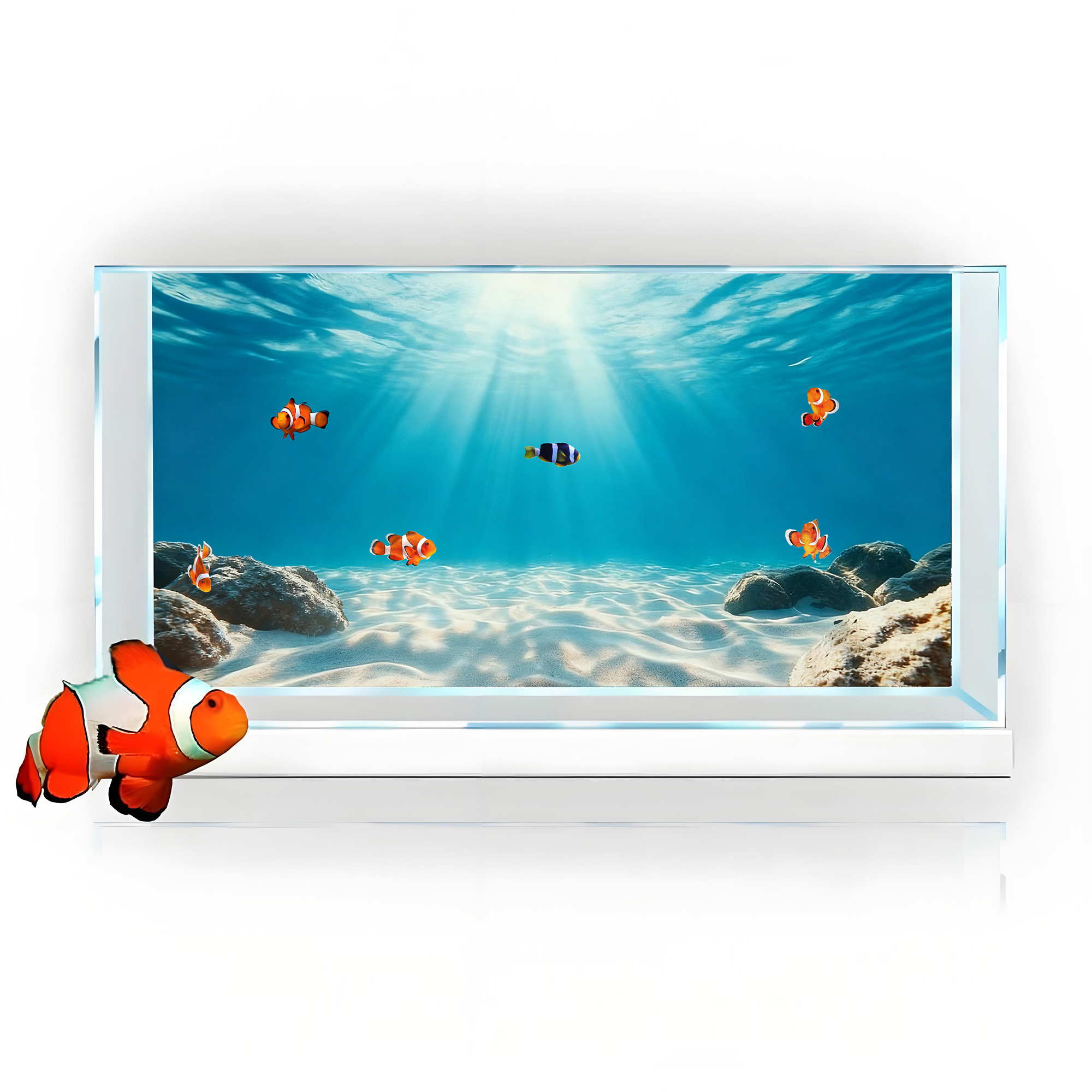 Blue Sea Clear Sand, Fish Tank - đánh giá và giá Aquarium Planet