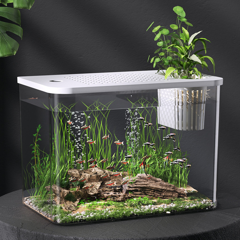 Plastic Aquarium With Lid Clea - đánh giá và giá Planted Aquarium For Goldfish