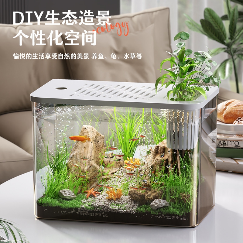 Plastic Aquarium With Lid Clea - đánh giá và giá Planted Aquarium For Goldfish