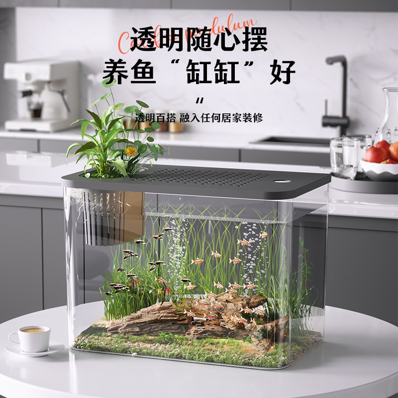 Plastic Aquarium With Lid Clea - đánh giá và giá Planted Aquarium For Goldfish