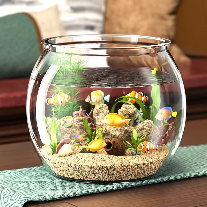 High Quality Compact Clear Pla - đánh giá và giá Planted Aquarium For Goldfish