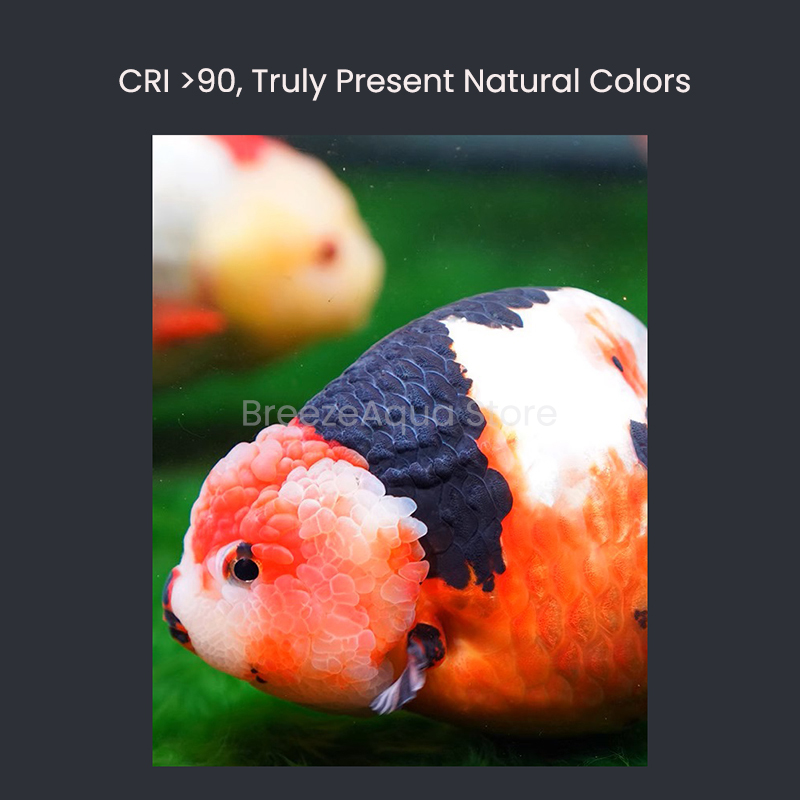 MAYIN Super Colour 100W Freshw - đánh giá và giá Planted Aquarium For Goldfish