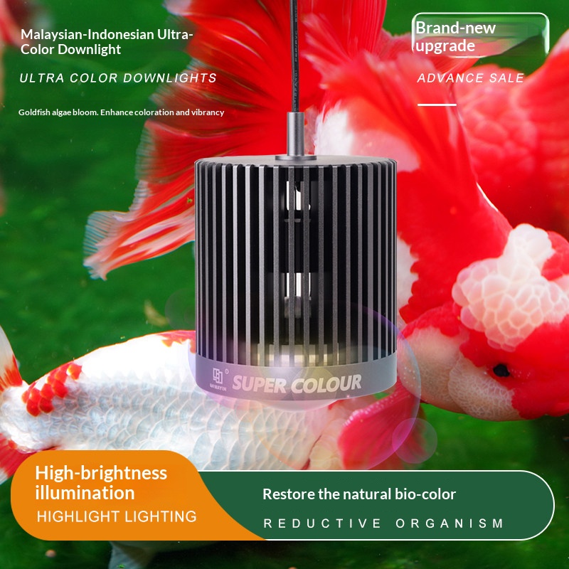 Mayin Aquarium LED Downlight,  - đánh giá và giá Planted Aquarium For Goldfish
