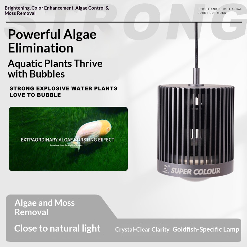 Mayin Aquarium LED Downlight,  - đánh giá và giá Planted Aquarium For Goldfish