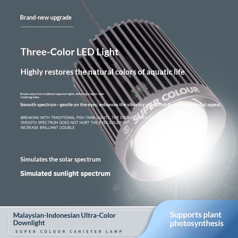 Mayin Aquarium LED Downlight,  - đánh giá và giá Planted Aquarium For Goldfish