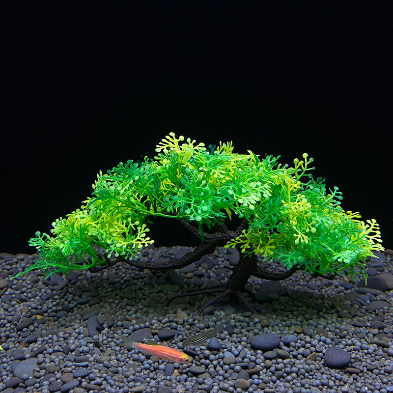 Aquarium Bonsai Tree, Plant, F - đánh giá và giá Planted Aquarium For Goldfish