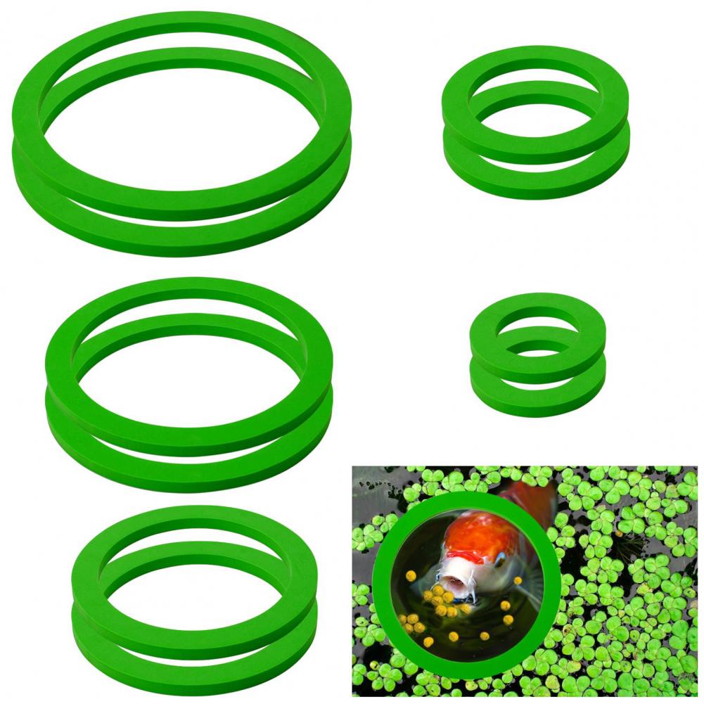 Eva Foam Floating Ring for Fis - đánh giá và giá Planted Aquarium For Goldfish