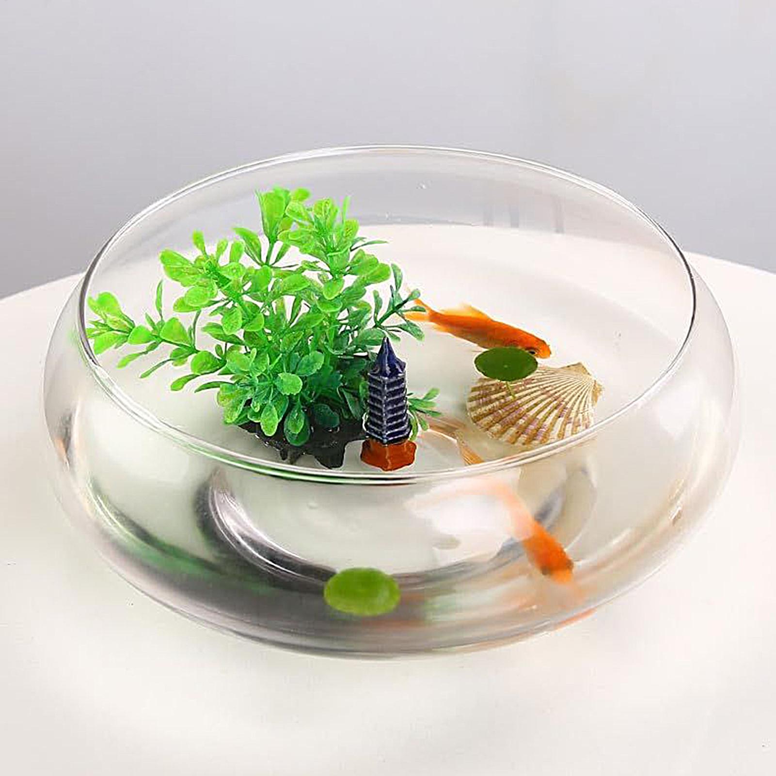 Fish Glass Bowl Glass Large Hy - đánh giá và giá Planted Aquarium For Goldfish
