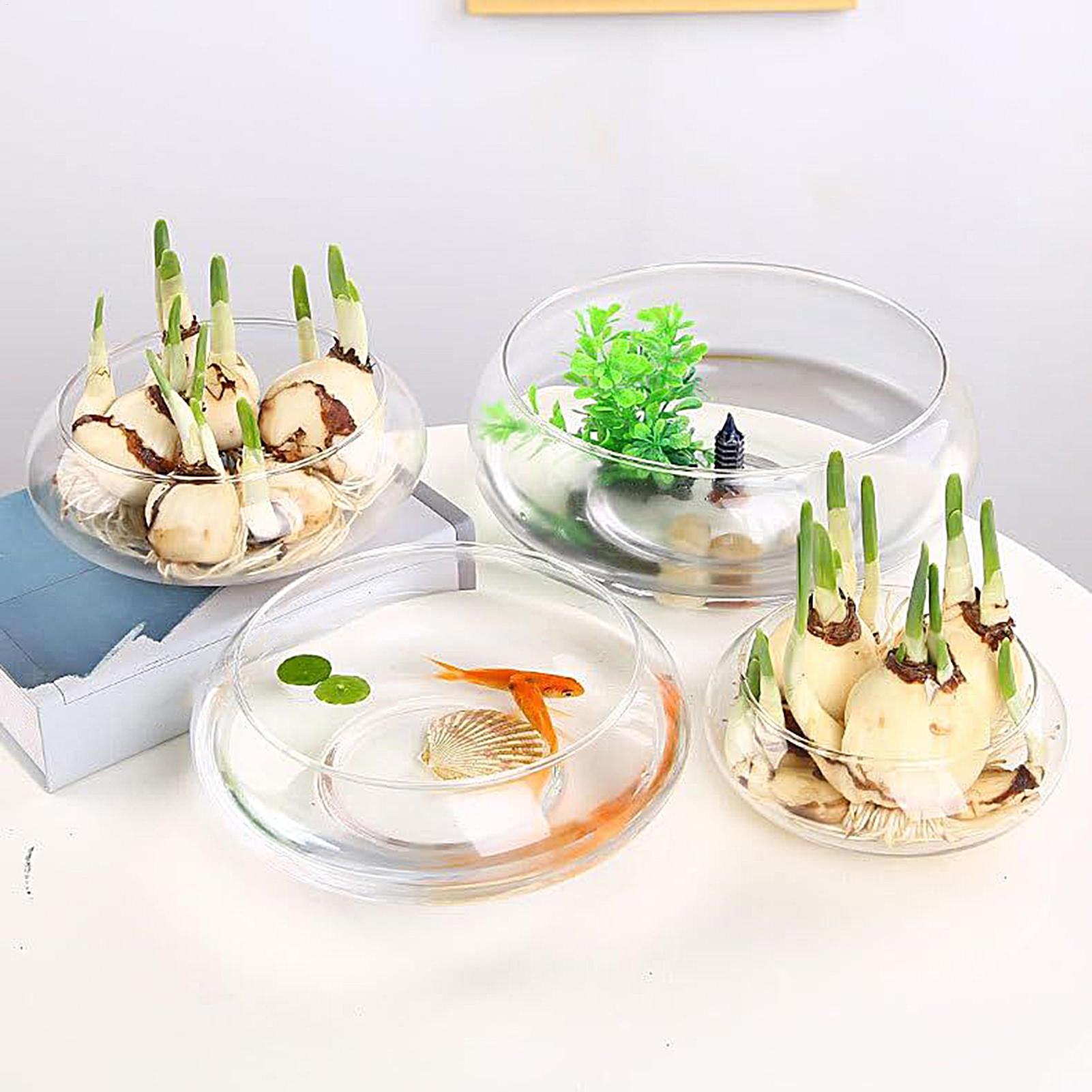Fish Glass Bowl Glass Large Hy - đánh giá và giá Planted Aquarium For Goldfish